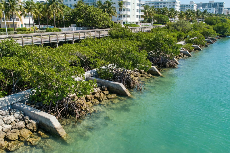 Bayshore Park Miami